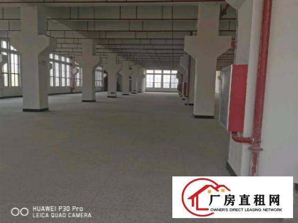  便宜好看有时会高大上