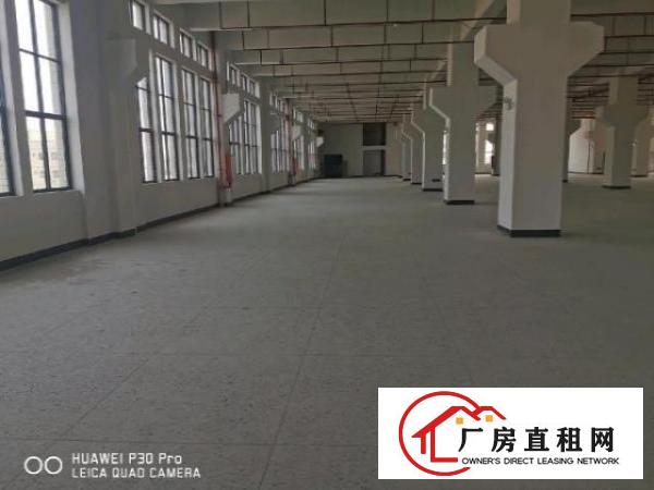  便宜好看有时会高大上