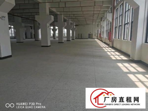  便宜好看有时会高大上