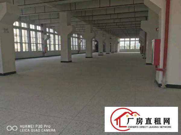  便宜好看有时会高大上