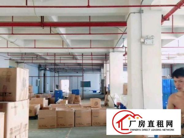  13全包二楼精装修厂房