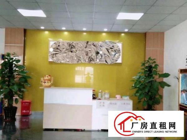  13全包二楼精装修厂房