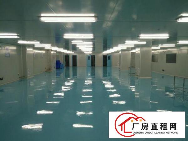  独门独院厂房招租全新装修无尘车间随时可入驻