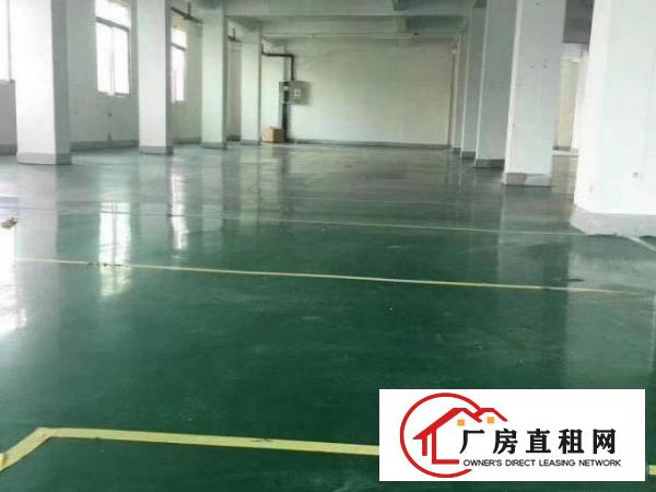  花园式独院厂房招租，总面积14400，可分租
