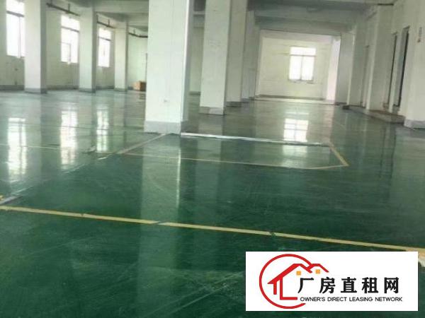  花园式独院厂房招租，总面积14400，可分租