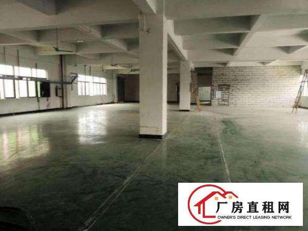  大朗超靓独院出租，实际面积5000平，可分租