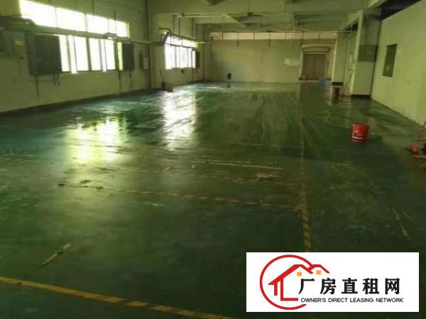  大朗超靓独院出租，实际面积5000平，可分租