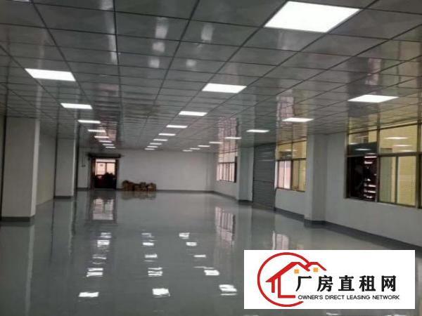  大朗原房东厂房直租，实际面积出租，可分租。
