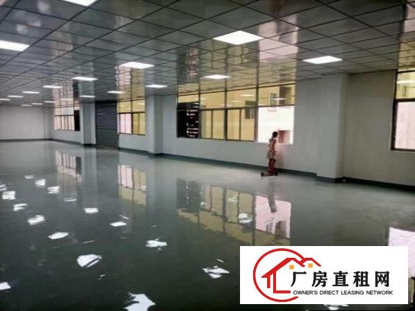  大朗原房东厂房直租，实际面积出租，可分租。