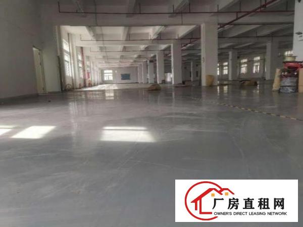  大朗原房东厂房直租，实际面积出租，可分租。