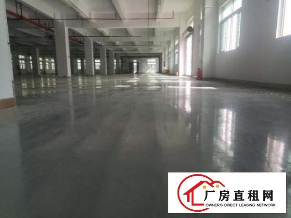  大朗原房东厂房直租，实际面积出租，可分租。