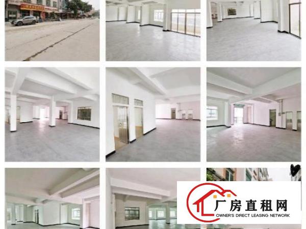  电梯厂房，前后大马路，洋坑塘广场旁。