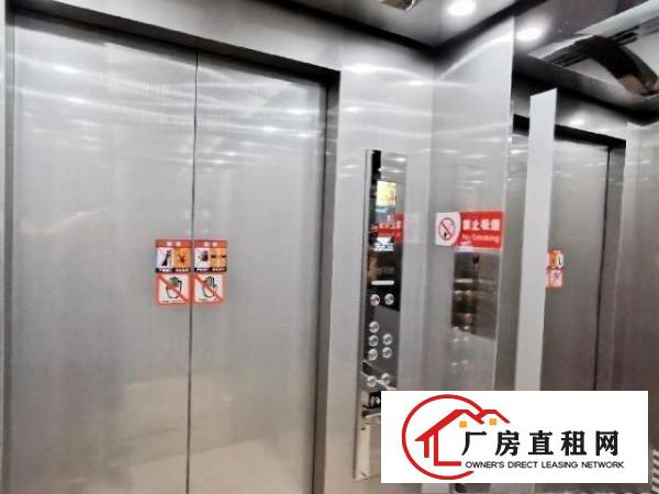  电梯厂房，前后大马路，洋坑塘广场旁。