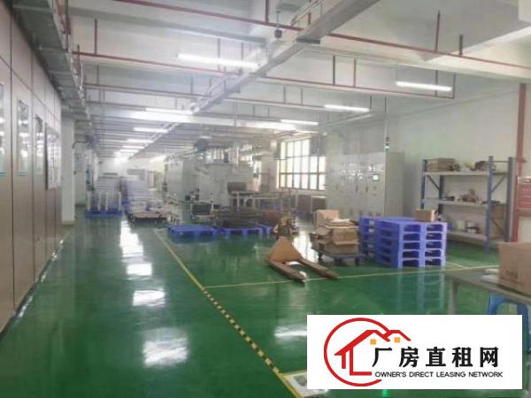  大朗楼上厂房1200平方带地坪漆适合电子毛织，办公室精装修