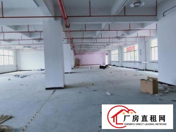  大朗原房东独院厂房招租