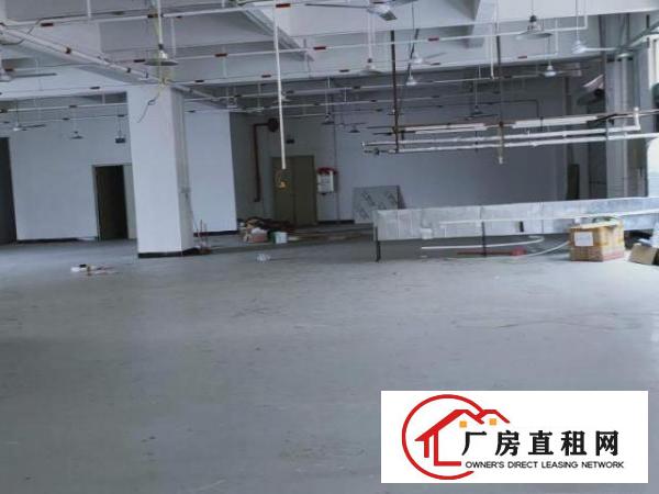  大朗原房东独院厂房招租