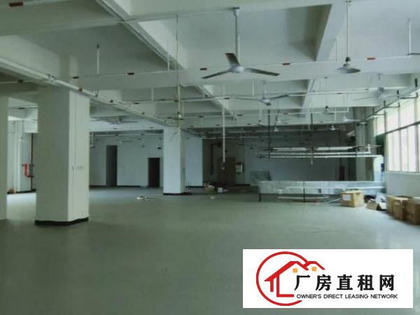  大朗原房东独院厂房招租