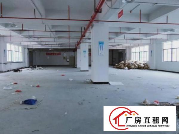  大朗原房东独院厂房招租