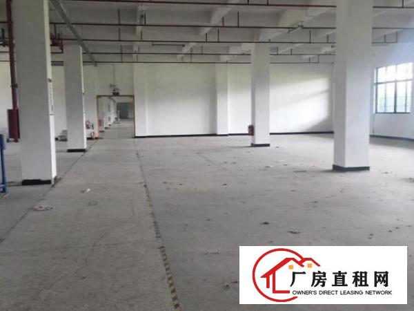  东莞大朗原房东标准园区独院可分租厂房20000平米可分租