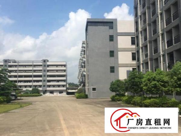  东莞大朗原房东标准园区独院可分租厂房20000平米可分租