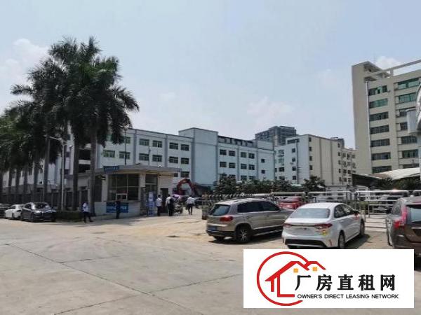  高英中编印刷厂业主直租