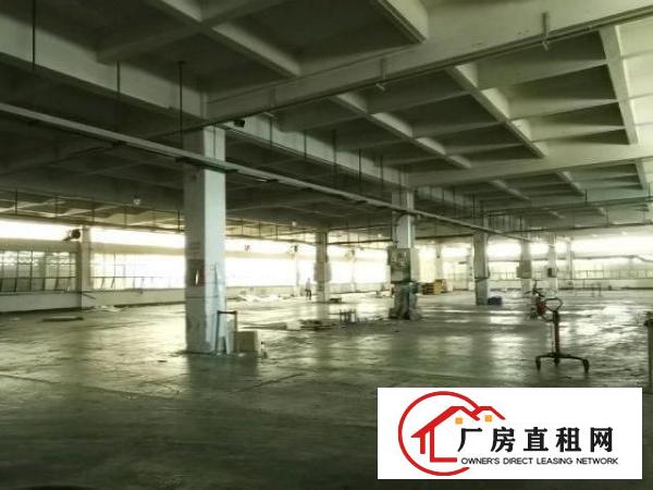  高英中编印刷厂业主直租