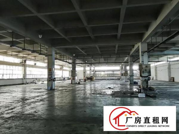  高英中编印刷厂业主直租