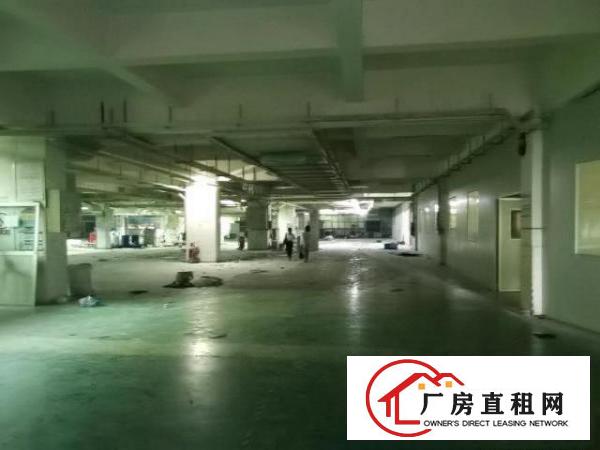  高英中编印刷厂业主直租