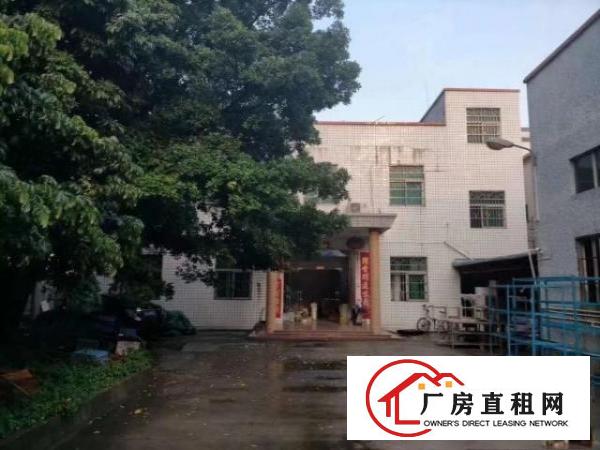  大朗独院厂房2700方出租