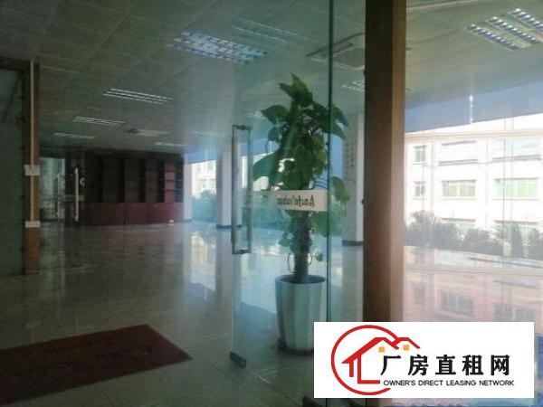  大朗富民工业园新岀带精装修独门独院厂房招租