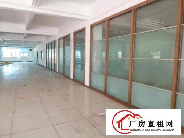  大朗富民工业园新岀带精装修独门独院厂房招租