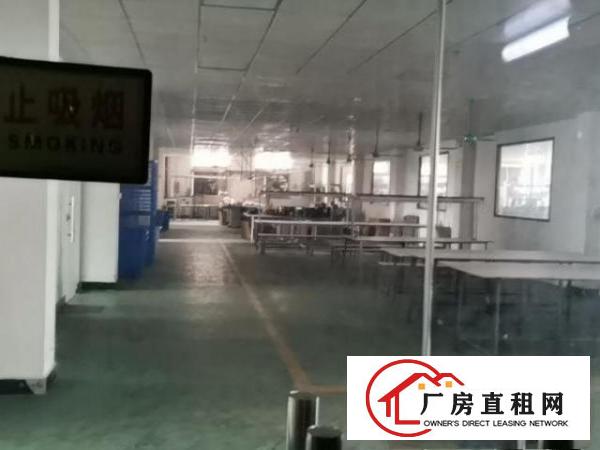  工业标准厂房带现成办公室装修10元一平方可分租