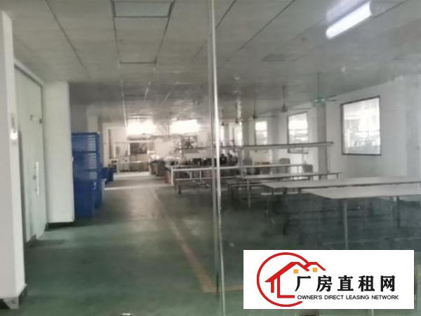  工业标准厂房带现成办公室装修10元一平方可分租