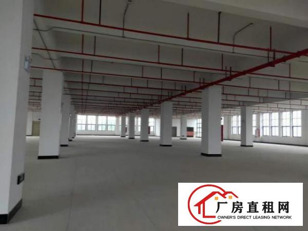  大朗镇30000平米独栋厂房1F7.2m，智能科技业