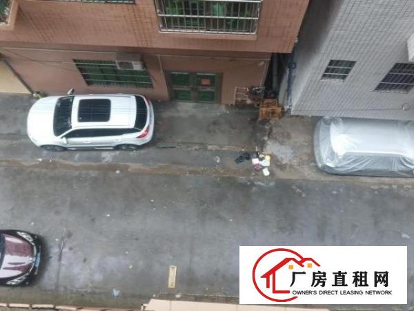  新出房东自建凯悦美景围墙外整栋民宅