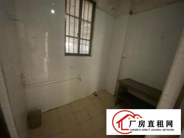  适合电商小工厂全新一楼大朗新民小学旁