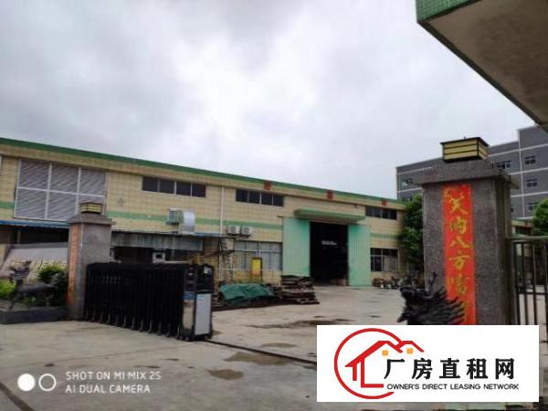  东莞厂房，租赁，公司，美丽