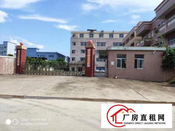  东莞厂房，租赁，公司，美丽