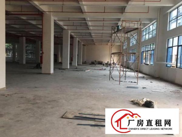  大朗镇原房东主路旁边5200平，证件齐全可办环评租13
