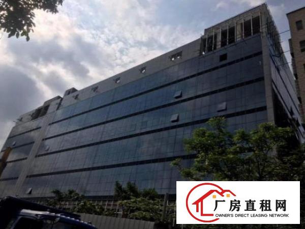  大朗镇中心12500平米原房东红本花园式全新厂房招租
