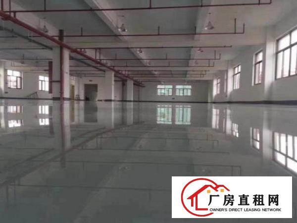  大朗松柏朗工业区标准2楼1600平方！洁净车间！地坪漆精装修