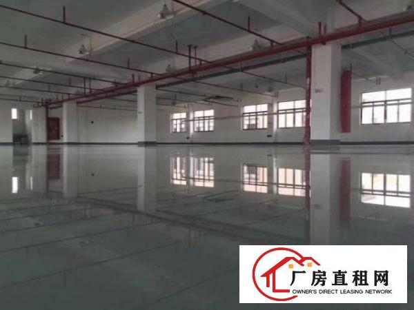  大朗松柏朗工业区标准2楼1600平方！洁净车间！地坪漆精装修