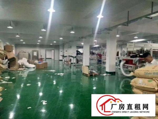 大朗工业聚集区二楼厂房1500方，带地坪漆和消防喷淋，拎包