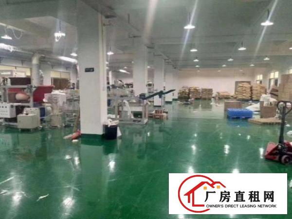 大朗工业聚集区二楼厂房1500方，带地坪漆和消防喷淋，拎包