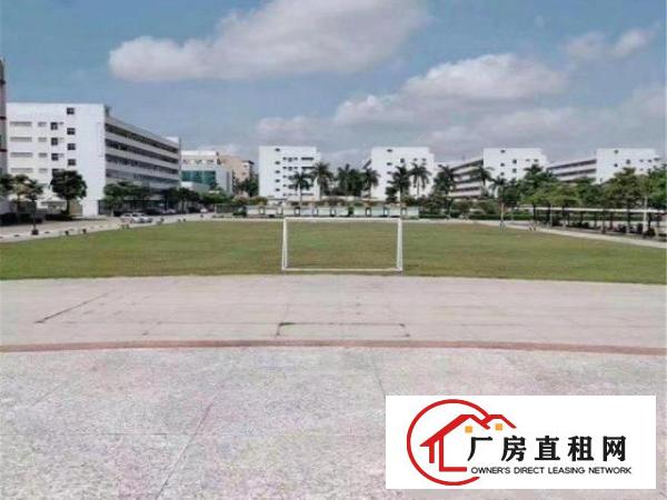  大朗镇洋坑塘工业园区新出800平，带办公室带装修带消防喷淋