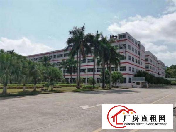  大朗镇洋坑塘工业园区新出800平，带办公室带装修带消防喷淋