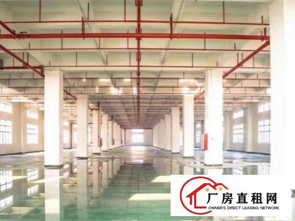  大朗镇洋坑塘工业园区新出800平，带办公室带装修带消防喷淋