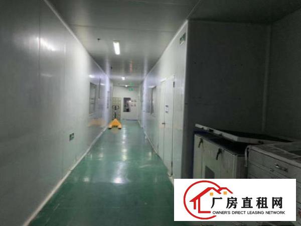 出租大朗新马莲460平方现成装修厂房水电齐全价格优惠
