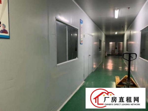  出租大朗新马莲460平方现成装修厂房水电齐全价格优惠