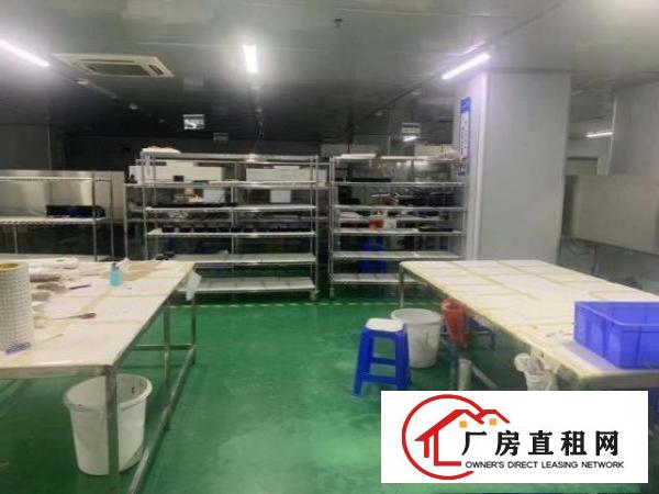  出租大朗新马莲460平方现成装修厂房水电齐全价格优惠